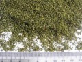 神農(nóng)有機(jī)綠碎茶
