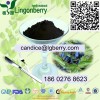 供應(yīng)優(yōu)質(zhì) 藍靛果花青素 量大從優(yōu)