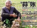 起底“蒜你狠”：蒜農(nóng)惜售 金鄉(xiāng)700畝鮮蒜一頭都沒(méi)賣(mài)