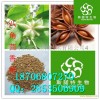 八角茴香提取物_八角茴香粉廠家