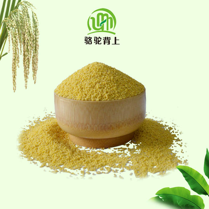 小米01