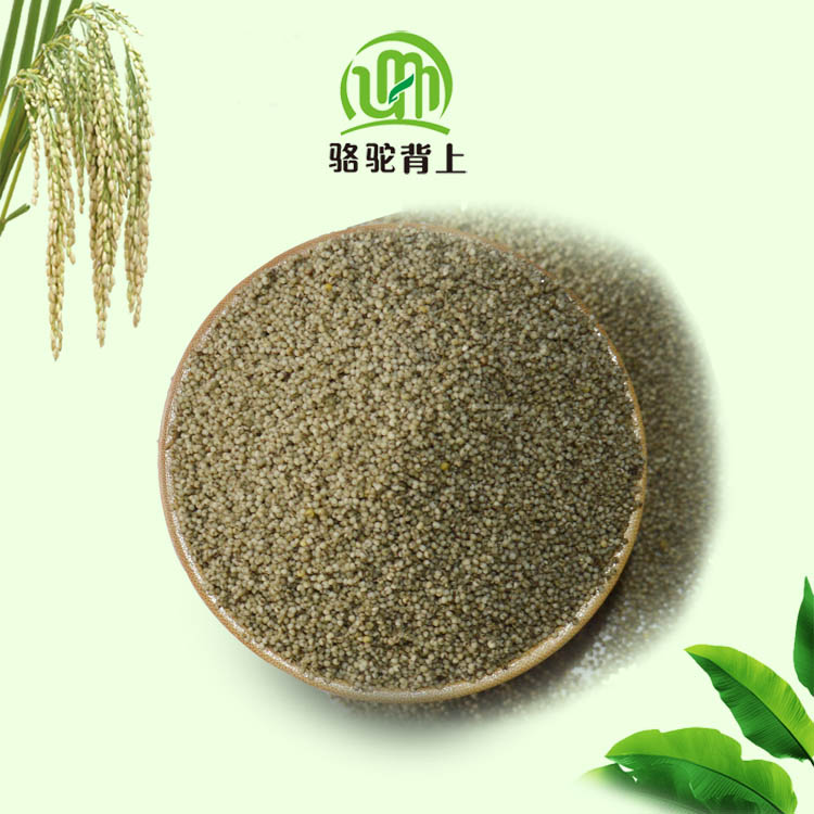 黑小米